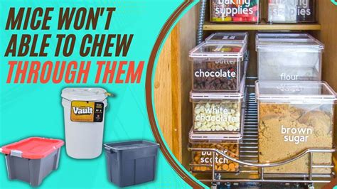 can mice chew through sheet metal|best rodent proof storage containers.